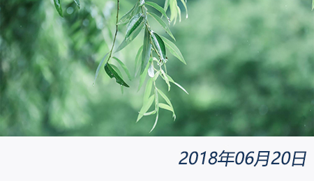 太阳城官网(中国)集团有限公司