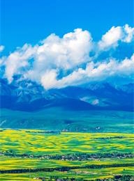 太阳城官网(中国)集团有限公司